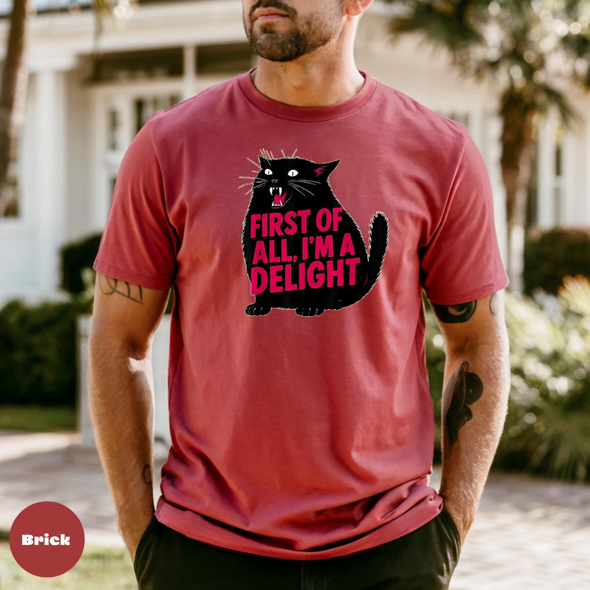 Comfort Colors Black Cat Graphic T-Shirt, Funny Quote Tee