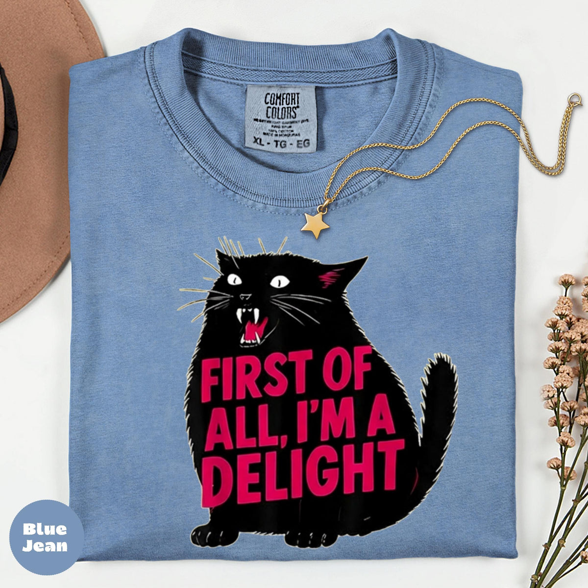 Comfort Colors Black Cat Graphic T-Shirt, Funny Quote Tee